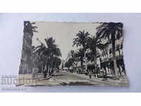 Пощенска картичка Hyeres Avenue Gambetta 1950