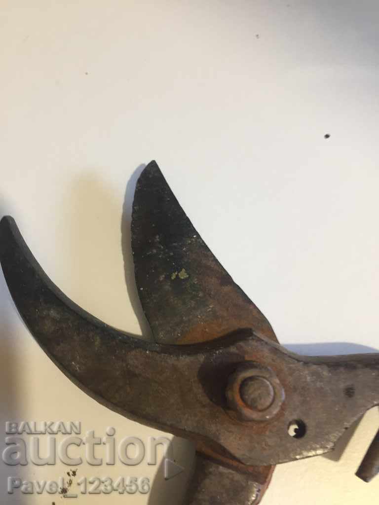 Auction old viticulture scissors Auction old viticulture scissors