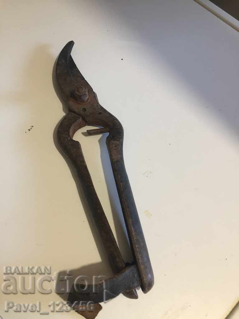 Old vineyard scissors