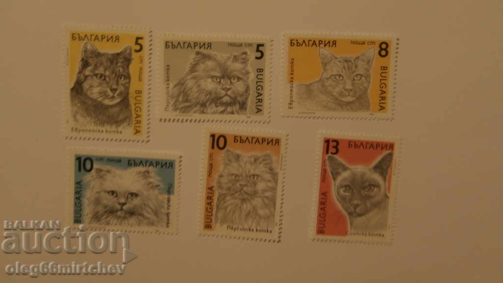 Βουλγαρία 1989 CATS BK№3825 / 30 καθαρό