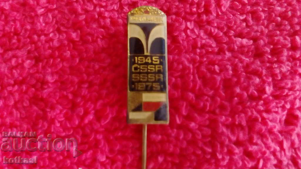 Old Social Metal Badge Pin Bronz 1945-1975 CSSR SSSR