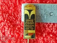 Old Social Metal Badge Pin Bronz 1945-1975 CSSR SSSR