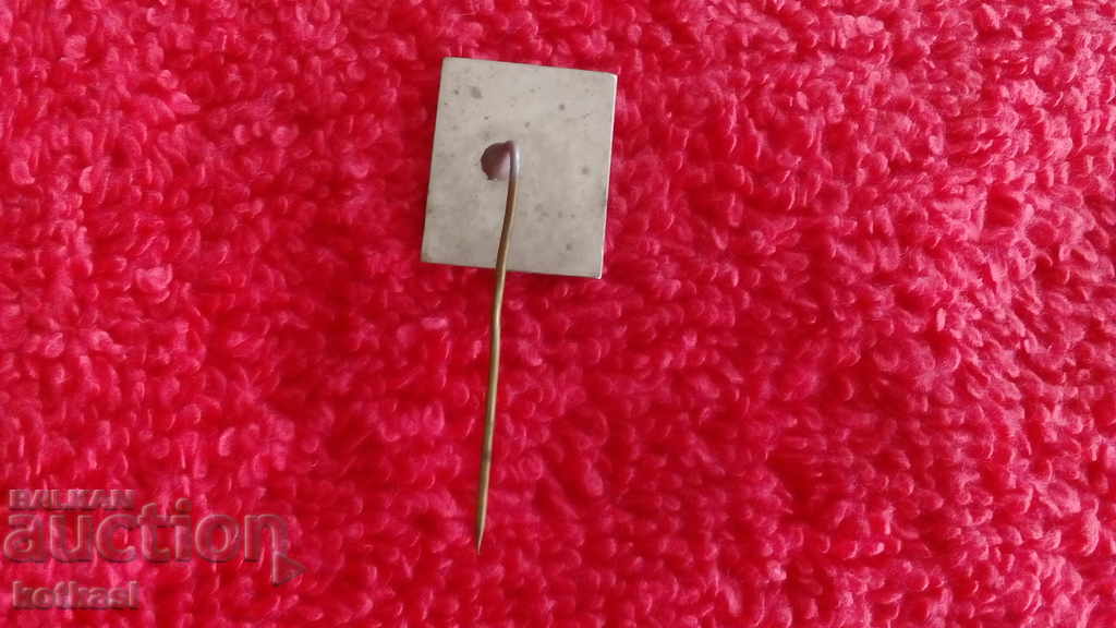 Auction Old social metal badge pin TNTM Aytos Auction Old social metal badge pin TNTM Aytos