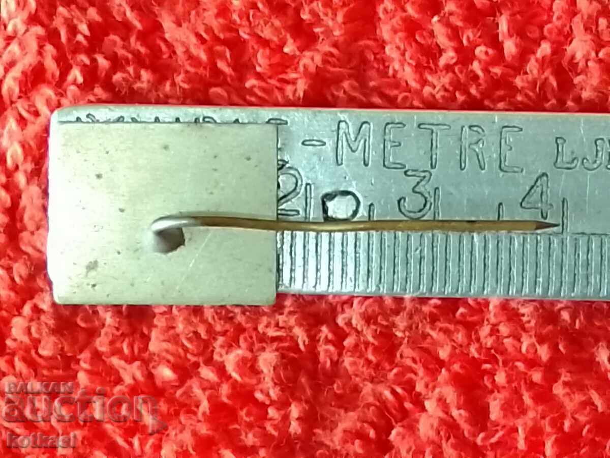 Delivery of Old social metal badge pin TNTM Aytos Delivery of Old social metal badge pin TNTM Aytos