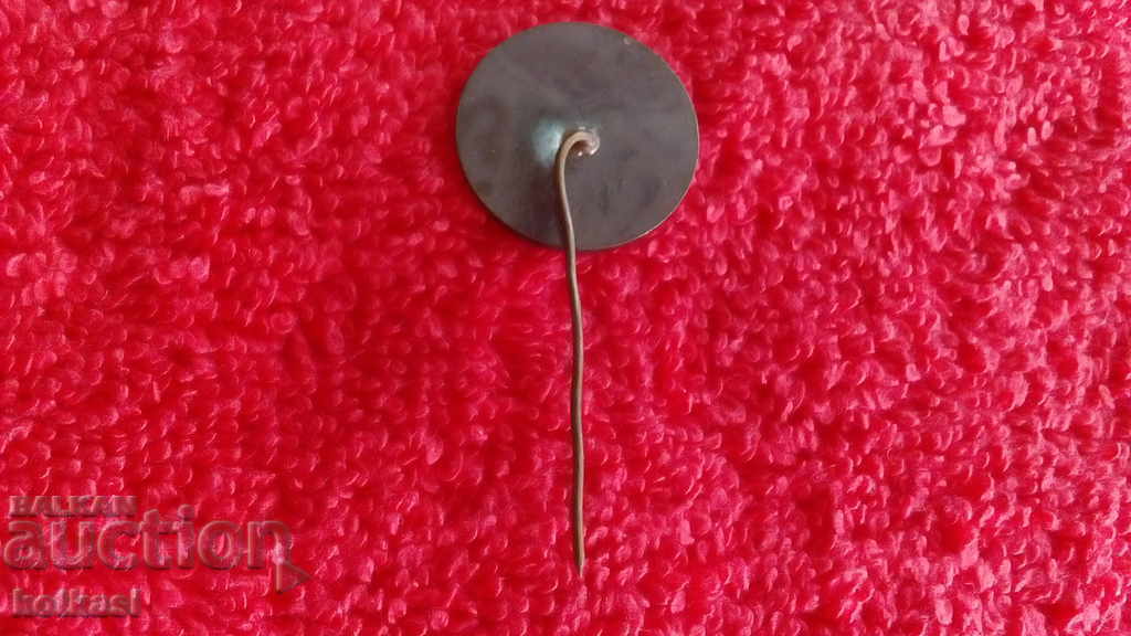 Auction Old metal pin badge RIGA RIGA Latvia Auction Old metal pin badge RIGA RIGA Latvia