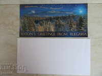 FELICITARE DE IARNĂ CU PLIC /21,5x10,5 cm/