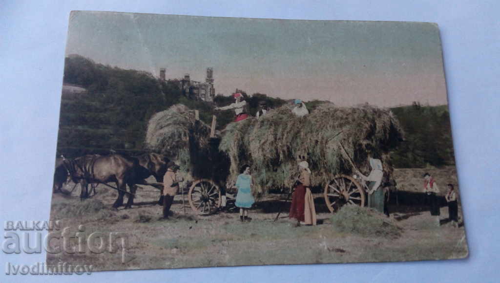 Postcard Carts with loaded hay 1922