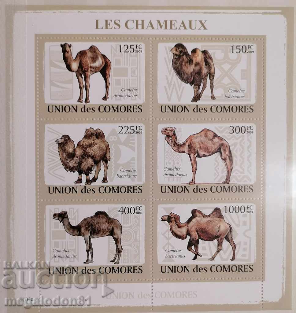 Pantries - camels with price 9.00 BGN | € 4.60 Pantries - camels with price 9.00 BGN | € 4.60