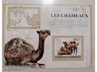 Pantries - camels