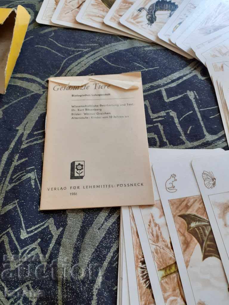 Delivery of Old children's playing cards Delivery of Old children's playing cards