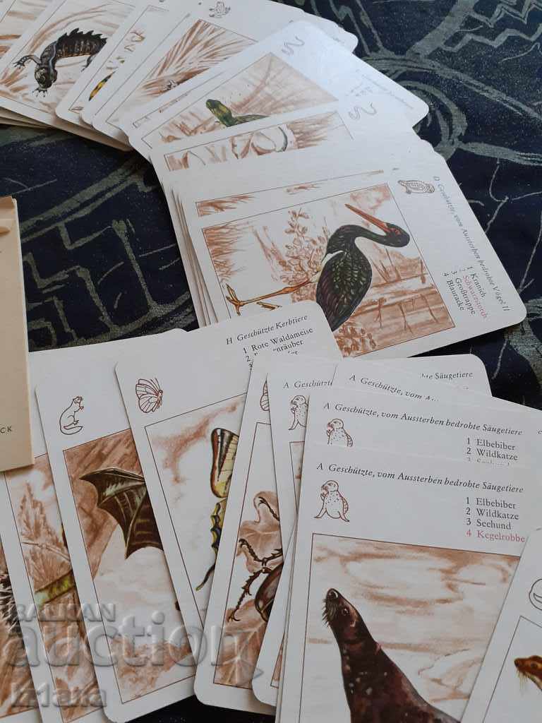 Old children's playing cards - 5 Old children's playing cards - 5