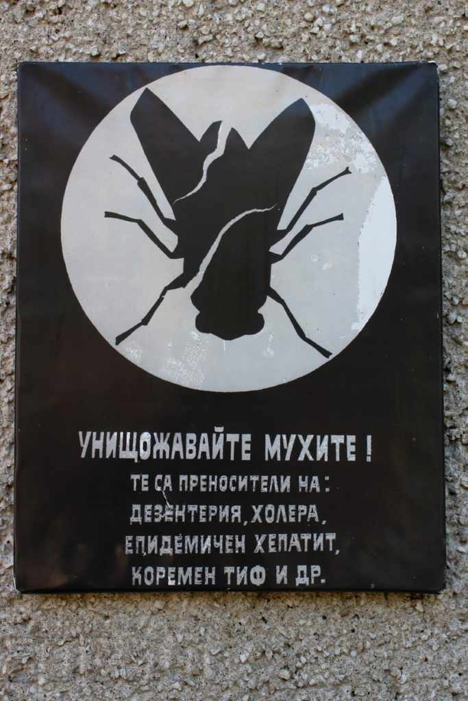 DESTROY THE FLIES SOC BOARD BOARD PAINTING PICTURE POSTER