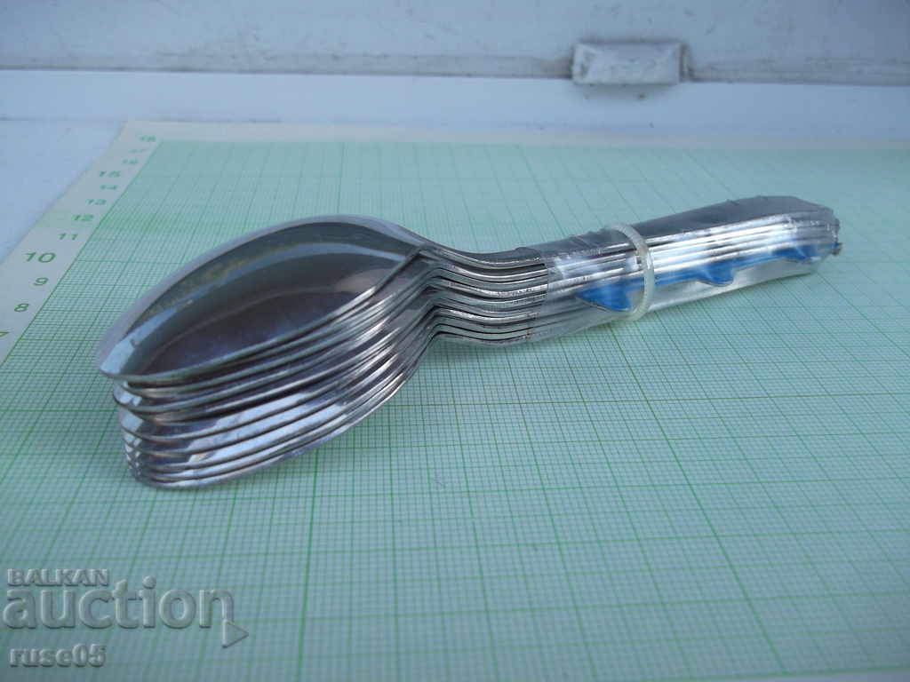 Delivery of Lot of 10 pcs. spoons Delivery of Lot of 10 pcs. spoons