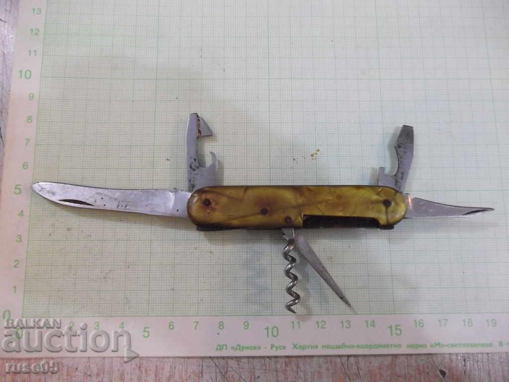 PD leg with price 10.00 BGN | € 5.11 PD leg with price 10.00 BGN | € 5.11