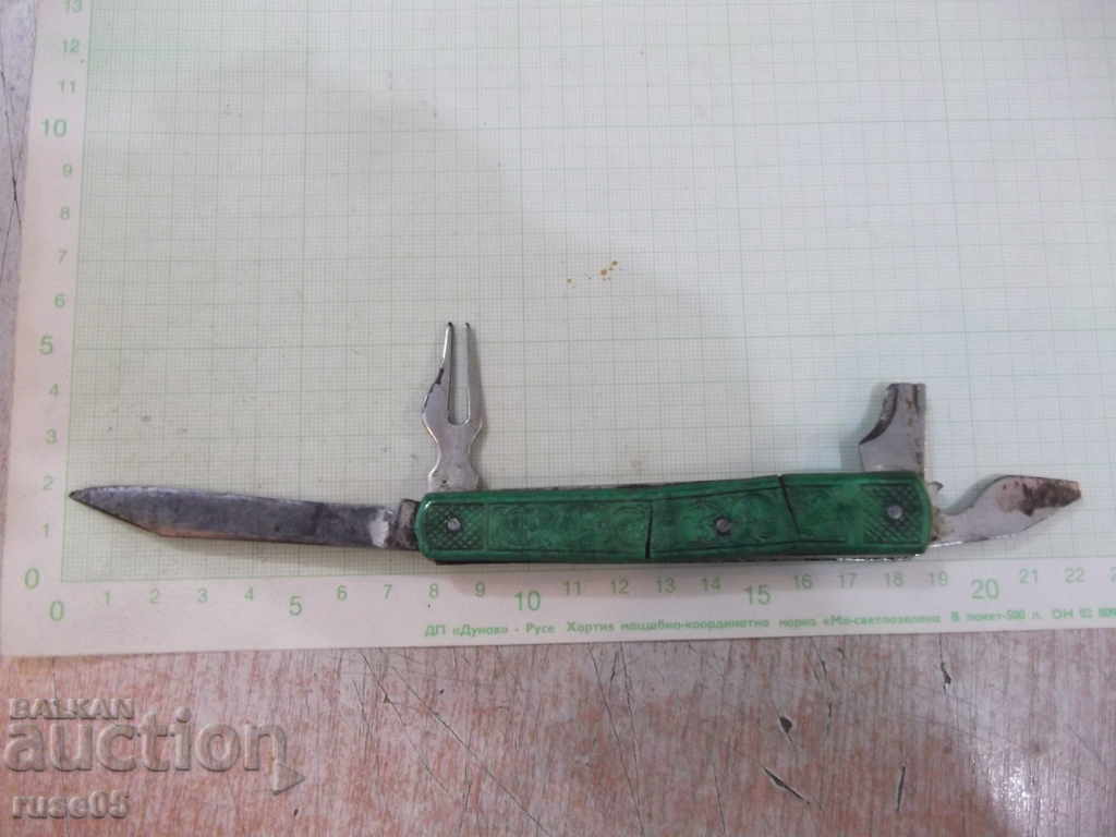 Leg with green sores with price 10.00 BGN | € 5.11 Leg with green sores with price 10.00 BGN | € 5.11