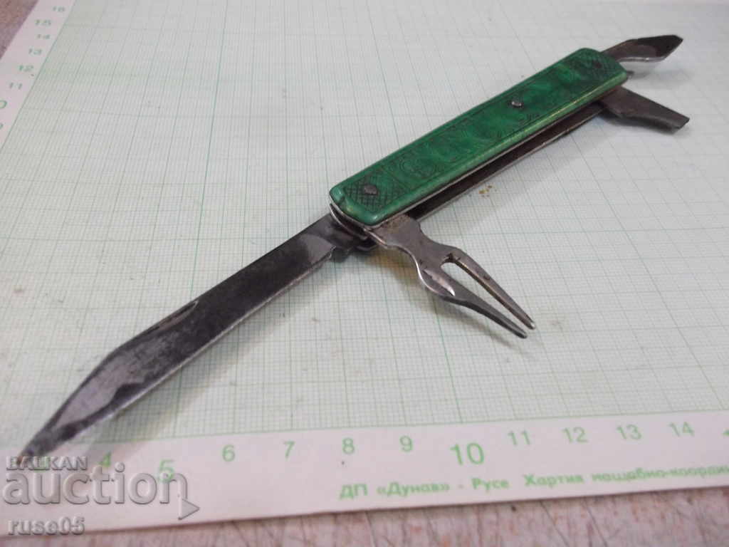 Auction Leg with green sores Auction Leg with green sores