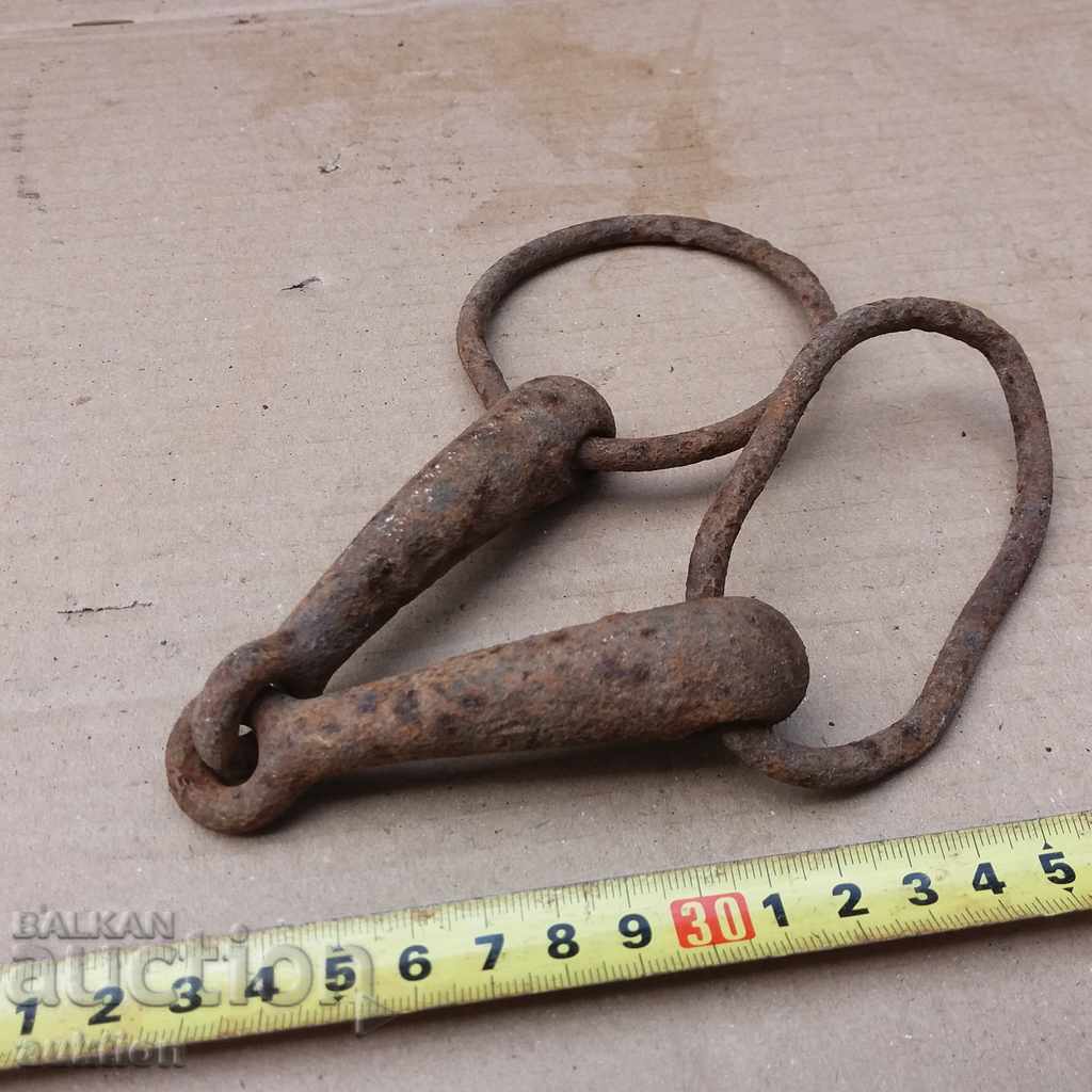 STAR KOVAN MASSIVE GEM, Bridle - HORSE AMMUNITION - 6