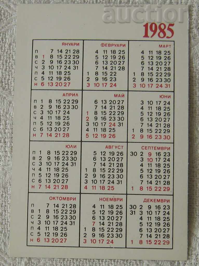 DSK GIRL WOMAN 1985 CALENDAR with price 0.50 BGN | € 0.26