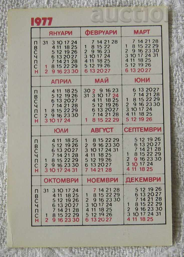 BLRS DOG 1977 CALENDAR with price 1.00 BGN | € 0.51 BLRS DOG 1977 CALENDAR with price 1.00 BGN | € 0.51