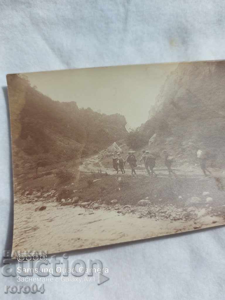 Auction MOUNTAIN TRIP Auction MOUNTAIN TRIP