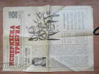 Newspaper ISPERIH TRIBUNE - issue 24 / 30.12.1984