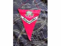 Steag, Steag FD Septemvri Zaraevo