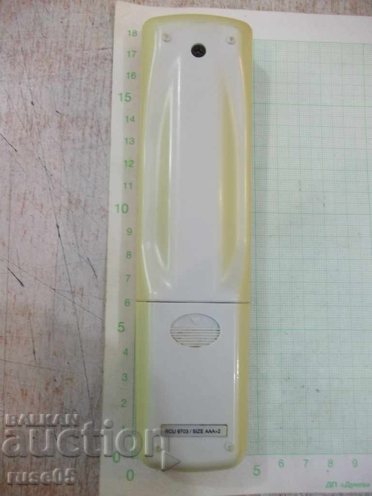 Auction  Remote "REMOTE" working