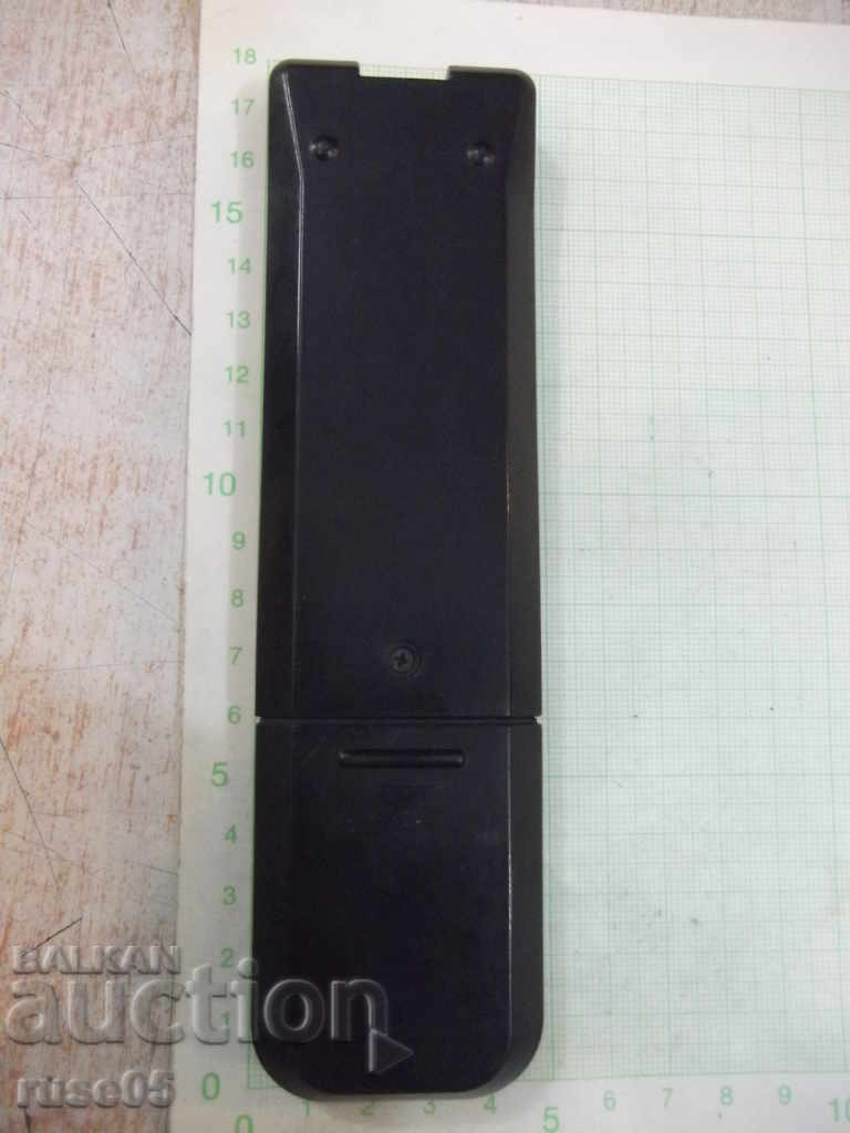 Auction  Remote working - 12