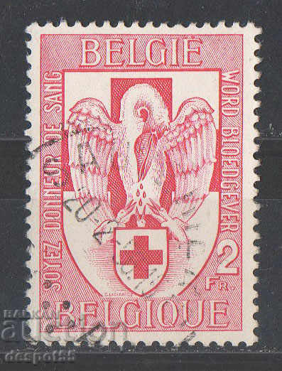 1956. Belgium. Blood donation.