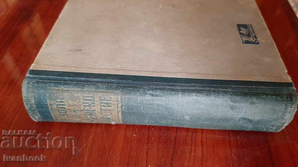 Antique book - Female happiness with price 3.00 BGN | € 1.53 Antique book - Female happiness with price 3.00 BGN | € 1.53