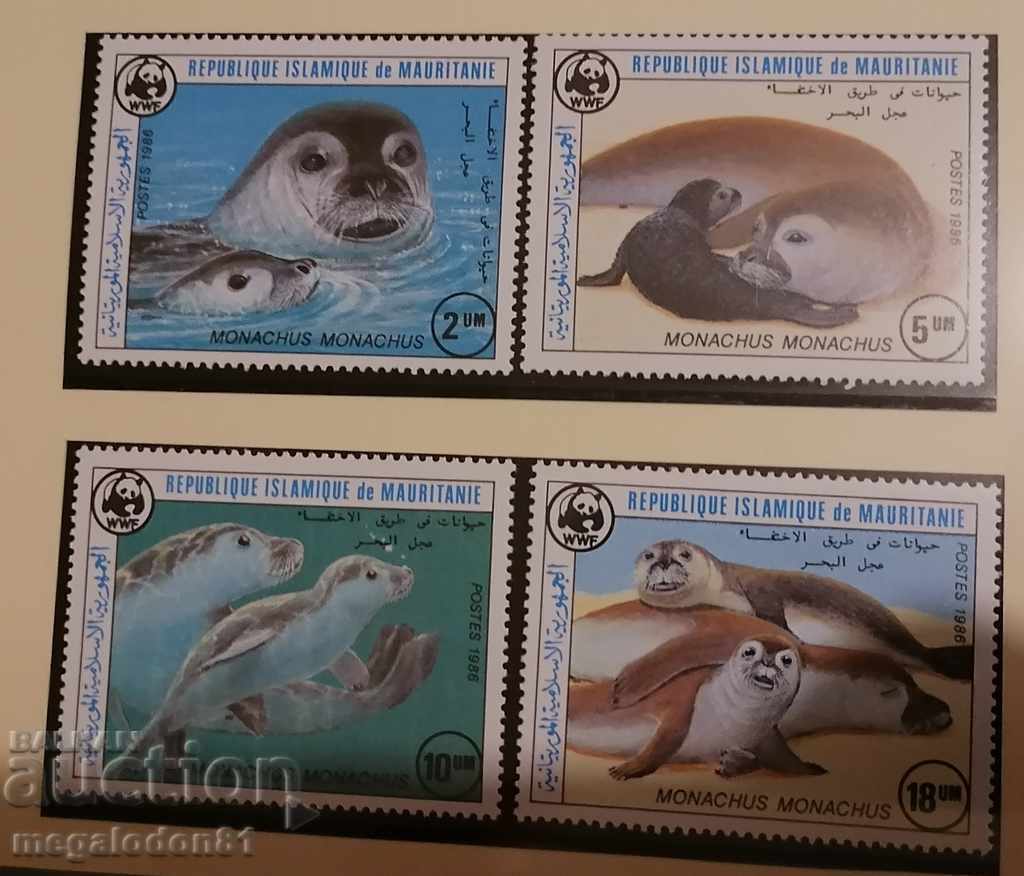 Μαυριτανία - WWF, μοναχός φώκιας