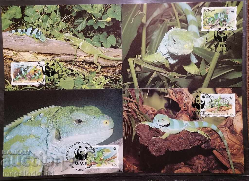 Tonga - WWF, green iguana