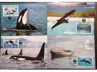 Σάο Τομέ - WWF, φάλαινες