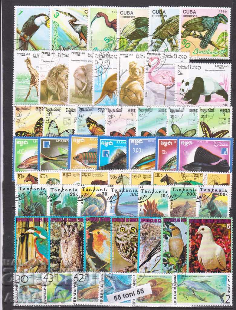 Fauna-Animale, Păsări, Fluturi lot de 8 numere cu print