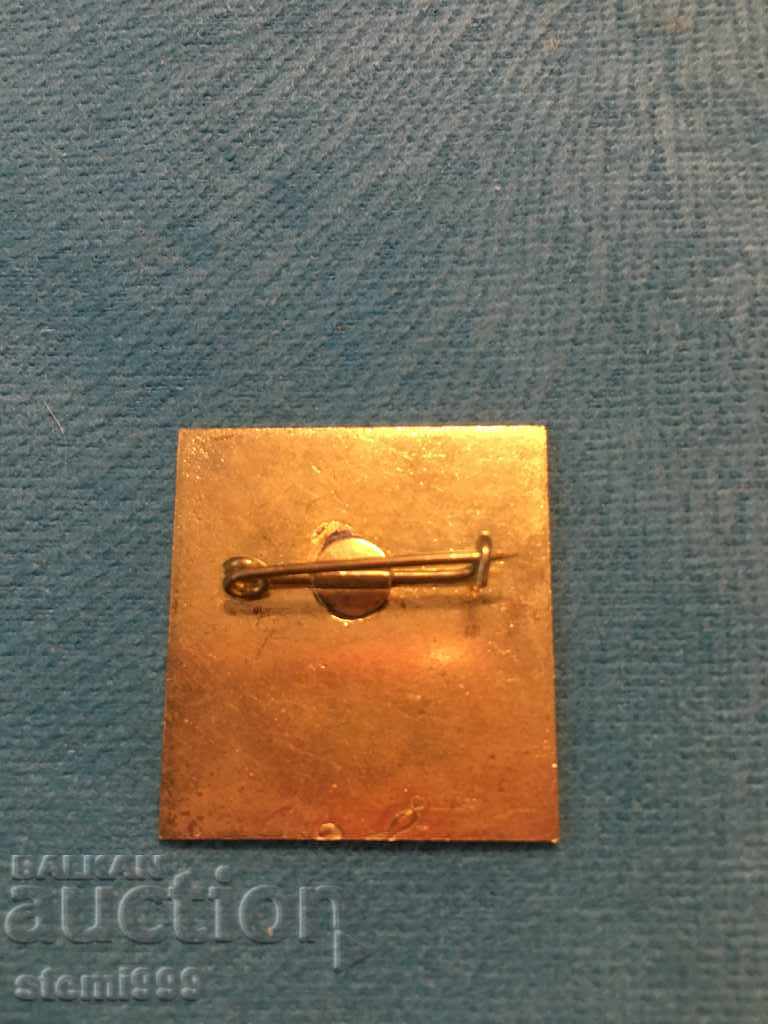 Badge Sports with price 2.50 BGN | € 1.28 Badge Sports with price 2.50 BGN | € 1.28