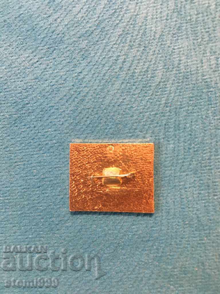 Badge Sports with price 2.50 BGN | € 1.28 Badge Sports with price 2.50 BGN | € 1.28