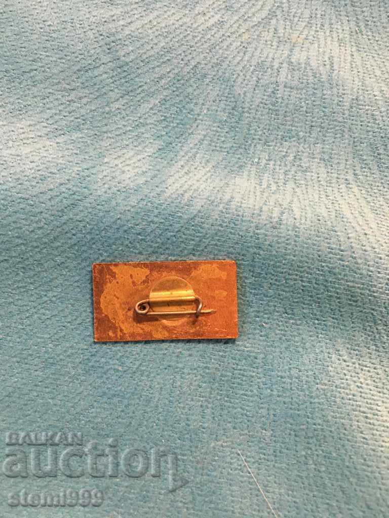 MOI badge with price 2.00 BGN | € 1.02 MOI badge with price 2.00 BGN | € 1.02