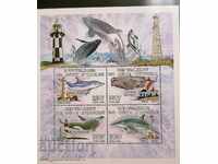 Ακτή Ελεφαντοστού - προβολείς, φάλαινες, δελφίνια