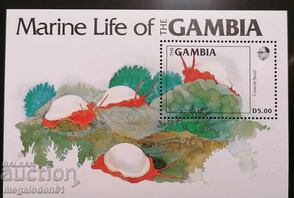 Gambia - oceanic fauna