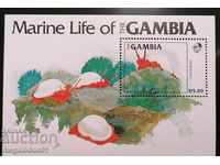 Gambia - ocean fauna