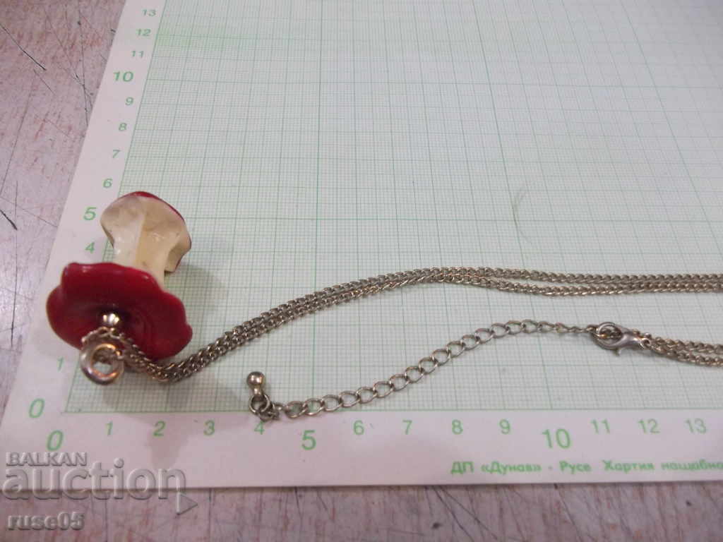 Apple Nut Pendant with Chain - 6 Apple Nut Pendant with Chain - 6