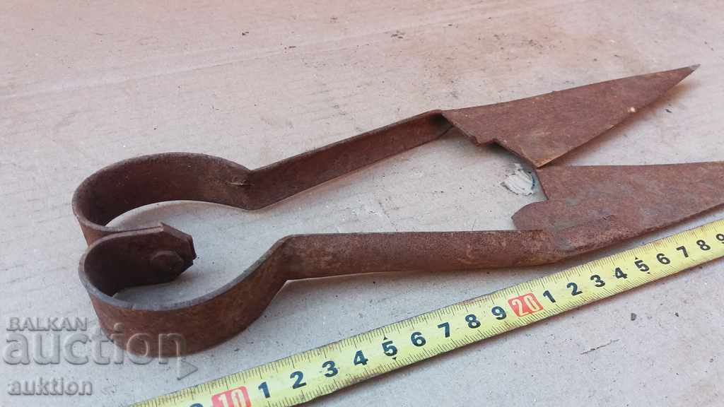 Licitație Foarfeca forțată de reînvierea pentru tăierea oilor Licitație Foarfeca forțată de reînvierea pentru tăierea oilor