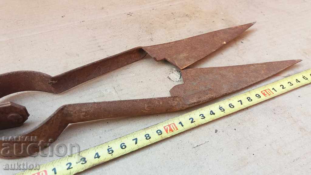 Livrarea Foarfeca forțată de reînvierea pentru tăierea oilor Livrarea Foarfeca forțată de reînvierea pentru tăierea oilor