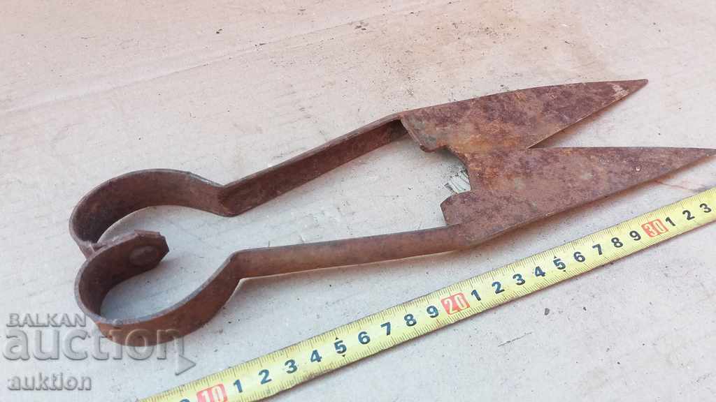 Foarfeca forțată de reînvierea pentru tăierea oilor - 5 Foarfeca forțată de reînvierea pentru tăierea oilor - 5