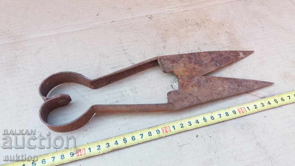 Foarfeca forțată de reînvierea pentru tăierea oilor - 6 Foarfeca forțată de reînvierea pentru tăierea oilor - 6