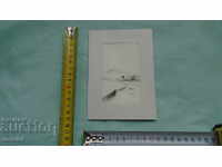 Υπολογιστής VIETNAME.- ΧΕΙΡΟΠΟΙΗΜΕΝΟ