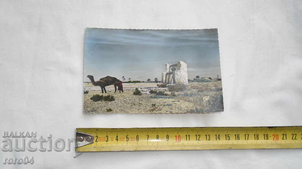 TUNISIA - POCKET - BEAUTIFUL PK with price 8.99 BGN | € 4.60 TUNISIA - POCKET - BEAUTIFUL PK with price 8.99 BGN | € 4.60