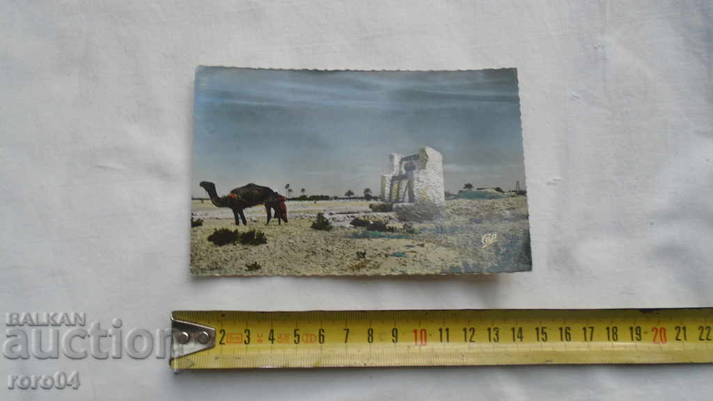 Auction TUNISIA - POCKET - BEAUTIFUL PK Auction TUNISIA - POCKET - BEAUTIFUL PK