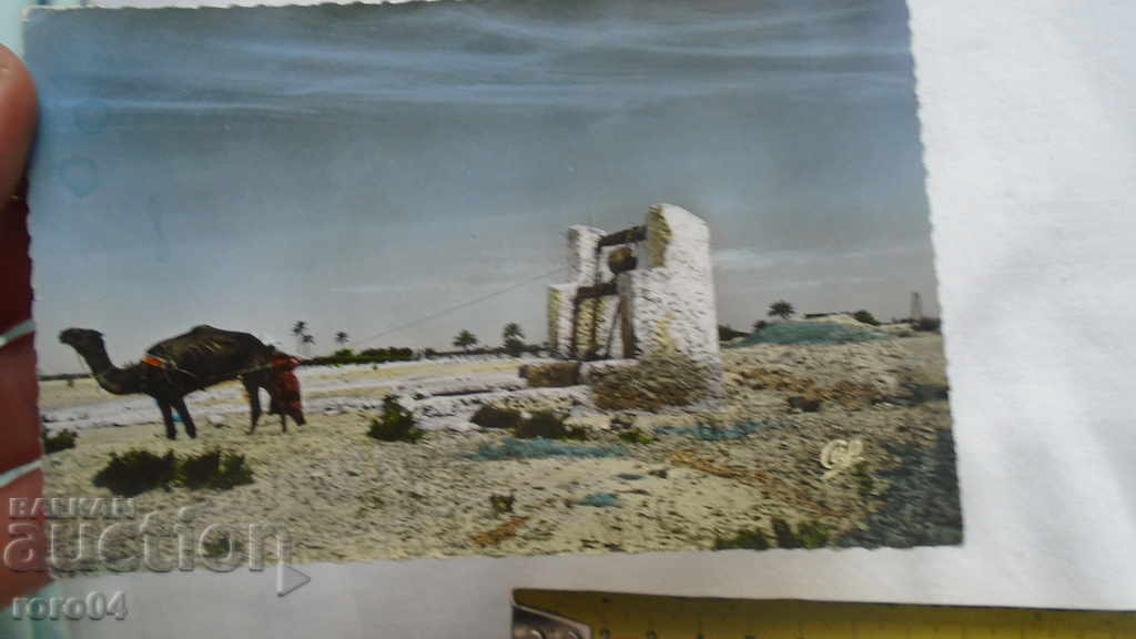 Livrarea TUNISIA - Buzunar - FRUMOS PK