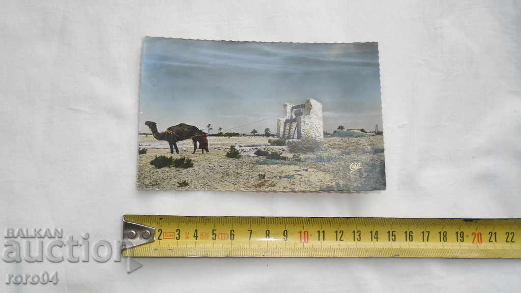 TUNISIA - Buzunar - FRUMOS PK